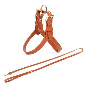 Arnés y Correa para Perro de Cuero Sintético de Lujo, Juego de Correa y <span class=keywords><strong>Collar</strong></span> de Cuero Personalizado para Mascotas - Product Image 6