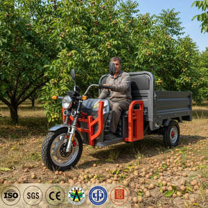 Triciclo Eléctrico de 1000W y 72V, 3090mm de Longitud, 3 Ruedas, Caja de Carga Abierta para Granja y Logística - Product Image 4