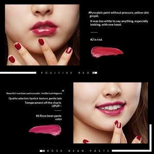 Rouge à lèvres hydratant végétalien effet soie, longue tenue, coloré, application facile, fini mat, soin des lèvres, marque privée - Product Image 4