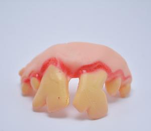 Crocs de vampire et dents de zombie pour Halloween, accessoires de <span class=keywords><strong>blague</strong></span> pour le jour du poisson d'avril, accessoires de costume amusants pour la décoration de fête et de festival - Product Image 4