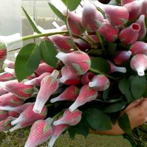 Lưới Nhựa Đẹp Và Thực Tế Hoa Hồng Nụ Tay Áo Bảo Vệ Lưới - Product Image 3