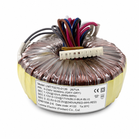 Transformateur toroïdal monophasé à enroulement en cuivre pour éclairage industriel 240V 120V 100W 300W 12V