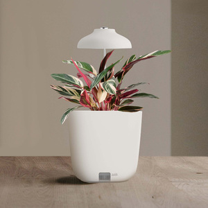 Led planter-Trắng ô nhỏ phát triển ánh sáng trong nhà Herb phát triển Kit LED phát triển ánh sáng bàn trong nhà vườn phát triển đèn - Product Image 1