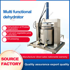 Estrattore di Succo di Ananas Industriale Professionale Beetroots 3.0kW Funzionamento Fluido Affidabile Macchina per Succhi a Freddo Commerciale - Product Image 4