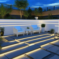 Raymates Bande LED COB 480 puces/m AC110V Extérieur Étanche IP67 12mm CRI 90+ CE ROHS UL Lumière Décorative Garantie 3 ans