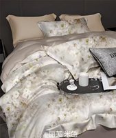 Ensemble de literie en fibre de lyocell sur mesure, 4 pièces, housse de couette et drap modernes, 300TC, fibre d'eucalyptus tissée, effet rafraîchissant