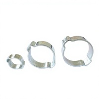 Collier de serrage à 2 oreilles en acier inoxydable durable pour tuyaux, usage métrique 3-46mm, finition zinc, OEM/ODM, garantie 3 ans, pour l'exploitation minière
