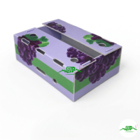 PP golfkartonnen plastic productenbox met open bovenkant en maatwerk voor supermarkt fruit- en groentepresentatie