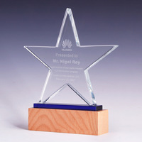 Nouveau design, trophée en cristal K9 transparent à cinq étoiles, trophée en verre cristal vierge avec base en bois, trophées élégants, médailles et plaques