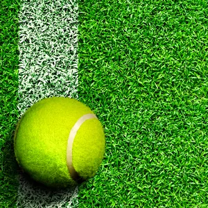 Alfombra de cancha de tenis de césped artificial pickleball de cricket de paleta personalizada de 15mm de calidad superior - Product Image 1