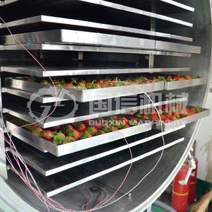 ด้ามจับเครื่องเป่าแห้งสูญญากาศแบบอุตสาหกรรมเชอร์โอยาสและซาโปดิลลาสดที่มีการควบคุมอุณหภูมิต่ำอย่างเสถียร - Product Image 5