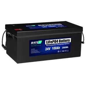 Kemasan Baterai Litium 24V 100AH Lifepo4 Baterai Surya 24V100ah untuk Surya Rv Perahu Motor Rumah