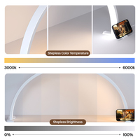 Table de manucure pliable demi-lune avec lampe et support pour téléphone, idéale pour les techniciennes d'ongles, le maquillage et les extensions de cils