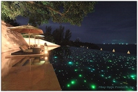 2,0/3,0mm 350m/rollo extremo fibra óptica cable de luz de la piscina de tierra Luz de jardín