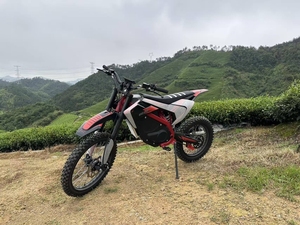 Motocicleta Todoterreno de 10KW con Motor Central sin Escobillas de Litio, 80km/h de Alta Velocidad, 72V 40, para Adultos - Product Image 6