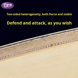 <span class=keywords><strong>Friendship</strong></span> 729 AJ305 Raquette de tennis de table professionnelle en caoutchouc à picots à structure hétérogène en carbone pour entraînement - Product Image 5