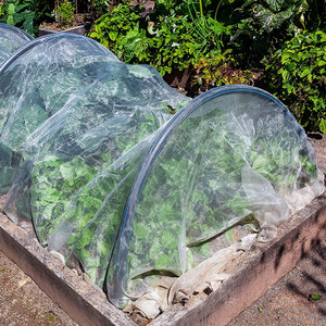 La <span class=keywords><strong>mejor</strong></span> venta, larga vida útil, Red a prueba de insectos agrícolas, red antiinsectos para casas verdes - Product Image 6