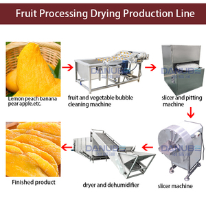 Factory Supply Mesh Belt Dryer Fruit Drying Machine Mango Cleaning and Slicing Dryer Line Mango Dehumidifier Processing Machine - Product Image 2
