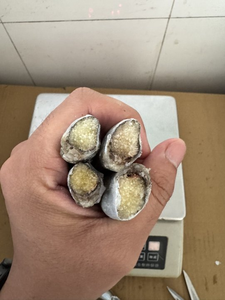 ปลา Capelin แช่แข็ง <span class=keywords><strong>shishamo</strong></span> Capelin ปลา <span class=keywords><strong>shishamo</strong></span> - Product Image 3