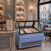-18 ° C à -22 ° Congélateur à refroidissement par ventilateur, vitrine commerciale autonome pour glaces et gelatos