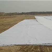 Tissu géotextile en PP tissé à haute résistance pour le renforcement routier et la protection des côtes contre les vagues