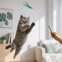 Nouvelle Arrivée 2026 – Jouet Interactif pour Chat et Chaton en Herbe de Renard Colorée, Haute Résilience, Long Manche, pour Jeu Autonome