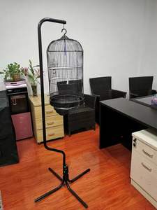 Vintage asılı kuş kafesi <span class=keywords><strong>stand</strong></span>ı kuş kafesi askı rafları - Product Image 4