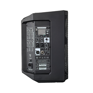 Altoparlante Audio Professionale ad Alta Potenza, Altoparlante Portatile Bluetooth Mp3 da 8 Pollici con DSP e Batteria - Product Image 2