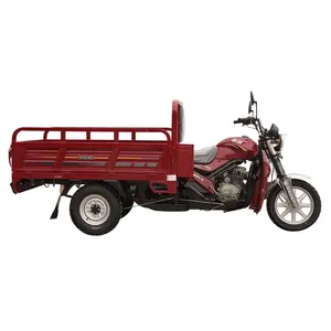 China Manufacture Sale Gasoline Tricycle Cargo Bike Tricycle 3 Wheel Gasoline open Cargo Tricycle Auto Rickshaw for Sale