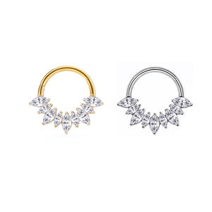 Boucles d'oreilles pendantes tendance en titane de qualité implantable, bijoux corporels, labrets à poussoir, boucles d'oreilles pendantes, anneaux de nez segmentés pour femmes - Product Image 6