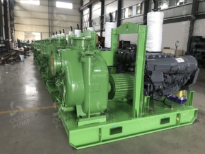 2' 3' 4" 6" 8" 10" משאבת דלק דיזל משאבת פריים יבשה בסיוע עצמי - Product Image 3