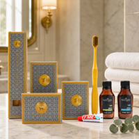 Kit d'articles de toilette personnalisés OEM pour hôtels - Ensemble complet de produits de toilette en bouteilles PET et emballages en papier, hygiéniques, en une seule pièce, pour hôtels et complexes hôteliers