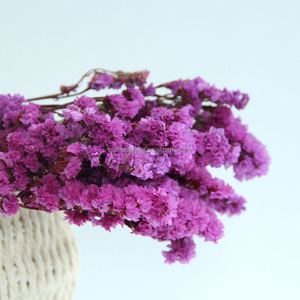 Flor Preservada Don't Forget Me, Regalo para el Día de San Valentín, Decoración de Bodas, Recuerdos de Boda, Esencial para San Valentín - Product Image 3