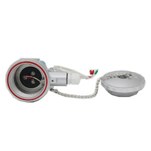 توريد عالية الجودة شفة ثابتة واقية من الانفجار PT100 RTD - Product Image 2