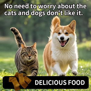 Piel y abrigo natural para perros y gatos, masticables con aceite de pescado, Omega 3, biotina y vitamina E para pieles brillantes, piel saludable y reducción del desprendimiento - Product Image 5