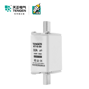 ฟิวส์ Tengen Rt16-00 32A Gg Ac500V 120Ka ชนิดเซรามิกแรงดันต่ำแบบแกน - Product Image 1