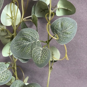 LO-1330 Prix d'usine en gros OEM Guirlande artificielle d'eucalyptus suspendue, fausse verdure de type Silver Dollar pour la décoration de jardins verticaux - Product Image 1