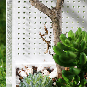 ODM&OEM Mini Böcek Oteli, Üreme ve Sergileme İçin Akrilik Mantis, Havalandırmalı Küçük Hayvan Teraryumu - Product Image 5