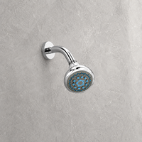 Pommeau de Douche Haute Pression avec Filtre, Ensemble de Douche à Main pour Salle de Bain, Économiseur d'Eau, Réglable, Finition Chromée