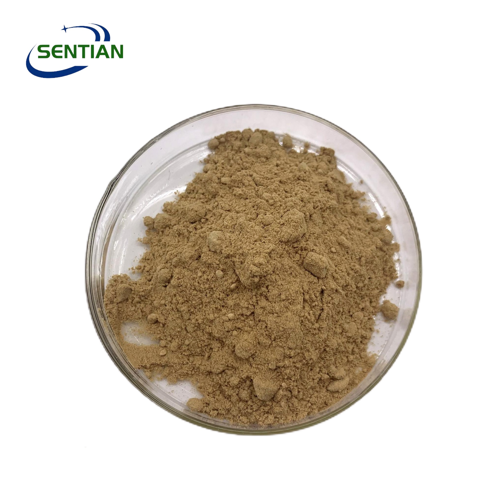 Factory Supply Sample Sea Cucumber Polypeptidase Bulk Sea Cucumber Extract Powder for Health Food Applications