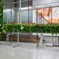 Décoration Murale Végétale Artificielle : Plantes Vertes Simulées, Fleurs Fraîches Préservées et Moquette Artificielle pour un Espace Vert