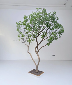 Albero di Ulivo Artificiale Personalizzato di Grandi Dimensioni per Decorazione Interna ed Esterna, Giardino, Ristorante, Pianta <span class=keywords><strong>Verde</strong></span> Finta Realistica - Product Image 5