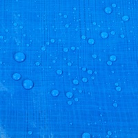 Bâche en PE tissé imperméable de Chine, bâche de protection pour tente, toile de pluie, bâche de protection pour voiture et mariage