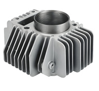 Bloc-cylindre de moto fourni par l'usine, compatible YX150 YX160 150/160cc, accessoires pour motos tout-terrain Kaya Xmotos Apollo