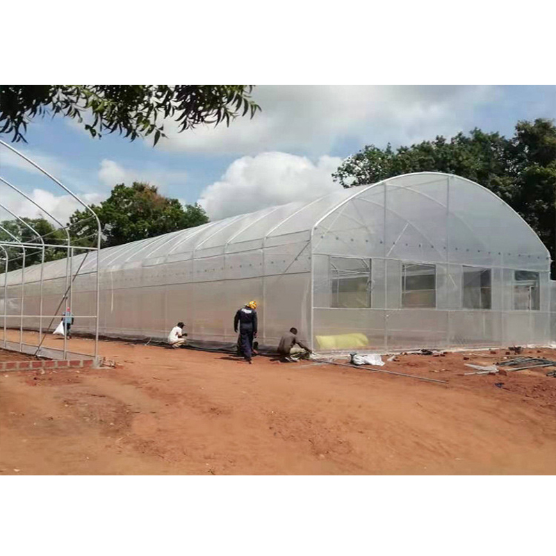 Factory Price Vegetables Steel Structure Agricultural
