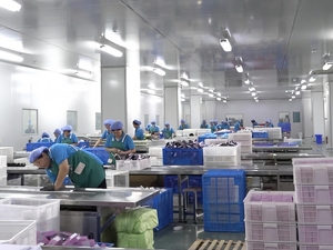 Lucky <span class=keywords><strong>One</strong></span> Million 100ml Eau de Parfum di Lusso, Fragranza Legnosa Originale di Lunga Durata, Spray per il Corpo all'Ingrosso, Colonia da <span class=keywords><strong>Uomo</strong></span> - Product Image 4