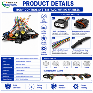 Câble de raccordement automobile personnalisé pour contrôleur de carrosserie avec borne multi-conducteurs scellée - Product Image 3