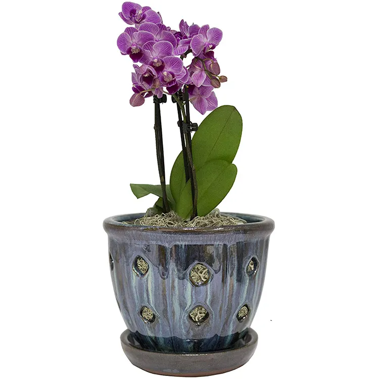 Home Decoration White Gold Indoor Outdoor Orchid Pot Ceramic