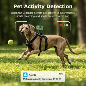 กล้องติดปลอกคอสัตว์เลี้ยง LS VISION Pet Safe Connected รองรับ 4G พร้อมระบบติดตาม AI ดูภาพจากระยะไกลผ่านคลาวด์ สนทนาได้สองทาง มาตรฐานกันน้ำ IP66 - Product Image 3