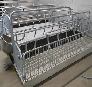 Cages pour animaux, équipement d'élevage de cochons